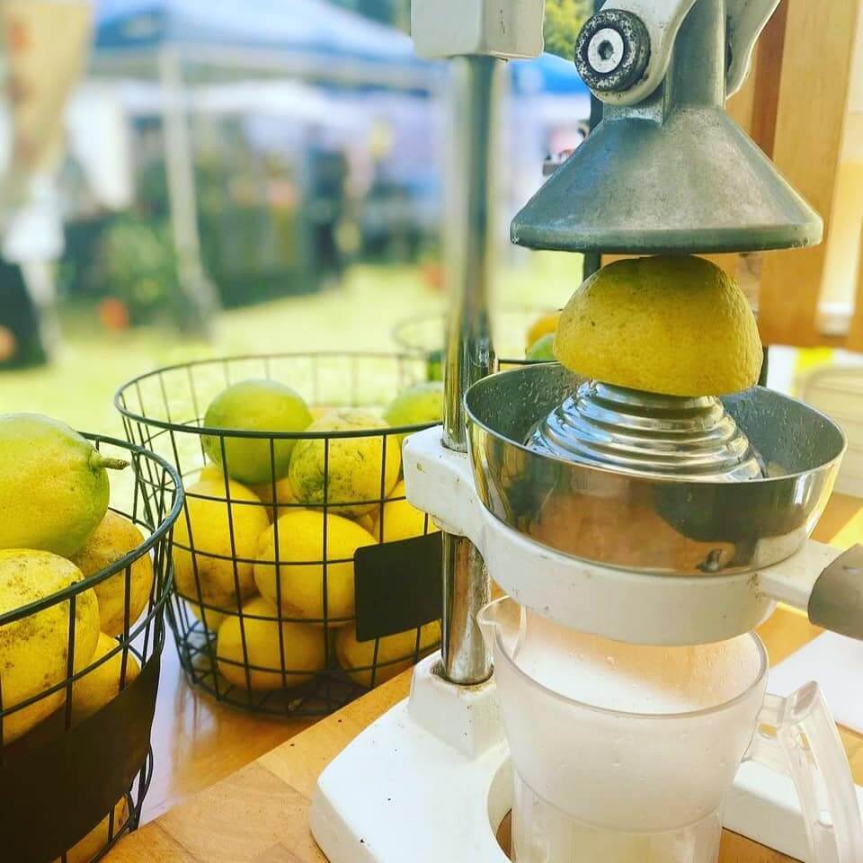 Woy Woy Waterfront Markets Things to do Love Central Coast